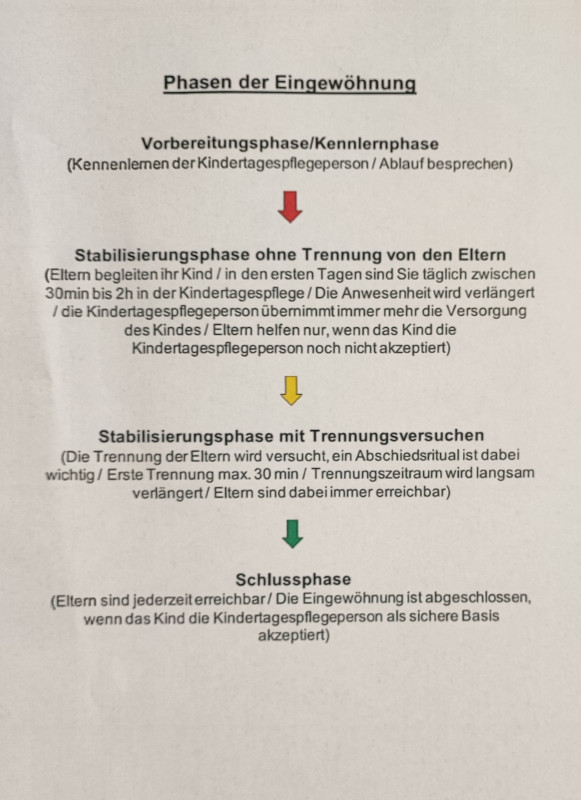 Phasen der Eingewöhung