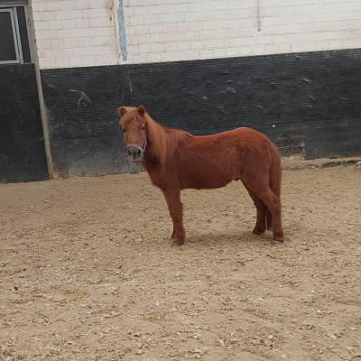 Unser Freund Twix